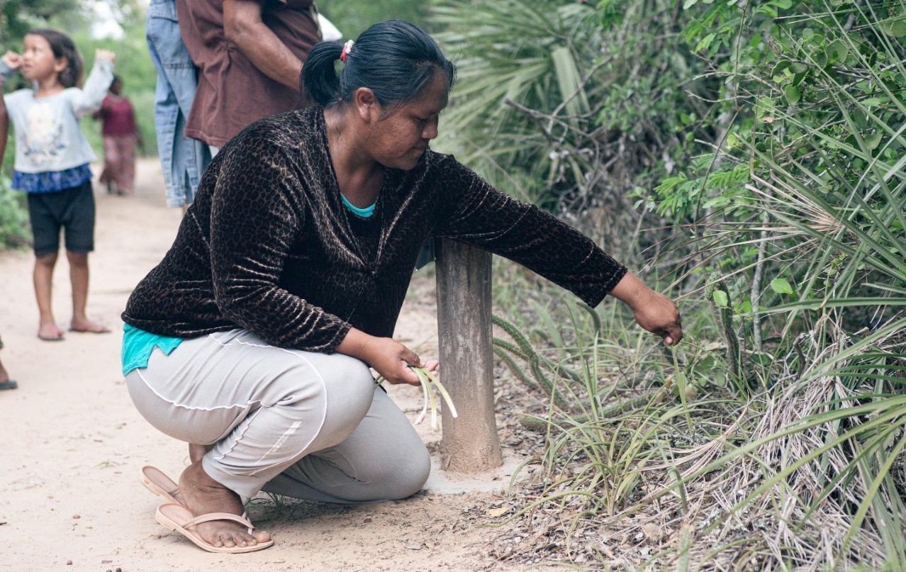 USO DE BIENES Y CONOCIMIENTOS ANCESTRALES EN LA COMUNIDAD IJNAPUI